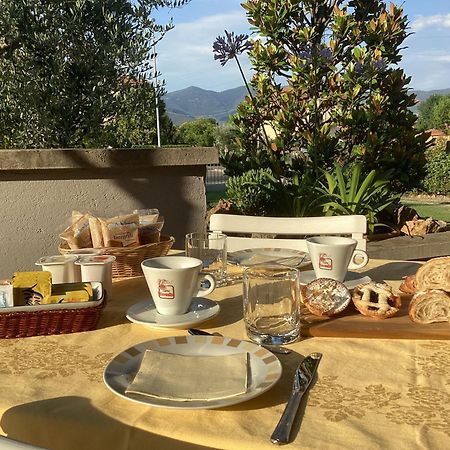Villa Orsini - A Retreat In Pisa - Food And Relax 外观 照片