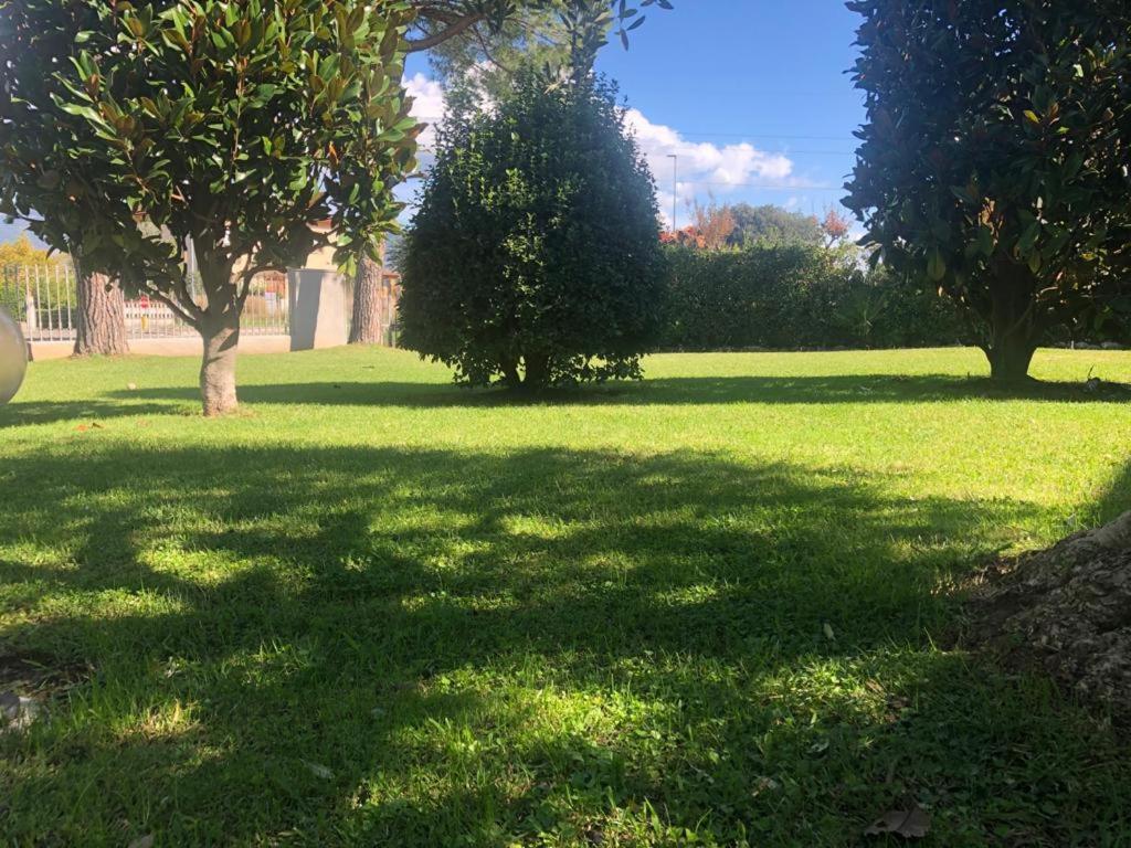 Villa Orsini - A Retreat In Pisa - Food And Relax 外观 照片